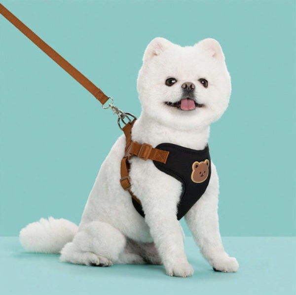 Pawschino Harness Set - Image 2